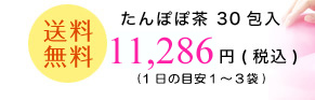 たんぽぽ茶 30包 11286円