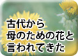 ���夫��������ȸ����Ƥ�������ݥ�