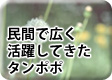 ̱�����Ȥ��Ƴ������Ƥ��륿��ݥ�