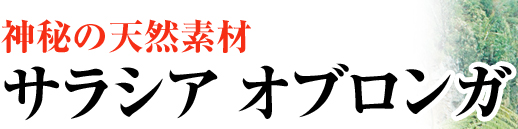 神秘の天然素材 サラシア オブロンガ