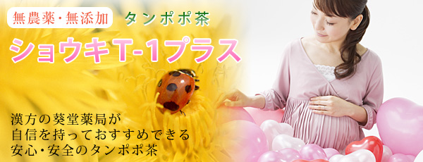 タンポポ茶 たんぽぽ ショウキT-1プラス