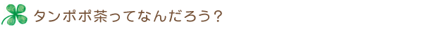 タンポポ茶って何だろう?