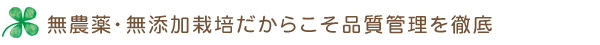 無農薬・無添加栽培のタンポポ