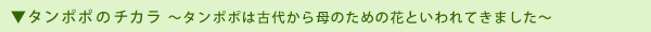タンポポのチカラ