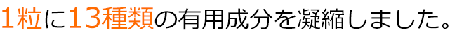 1粒に13種類の有用成分を凝縮しました