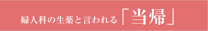 婦人科の生薬と言われる「当帰」