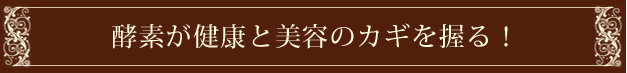 大和酵素の本草1200mL