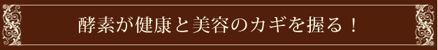 大和酵素の本草1200mL