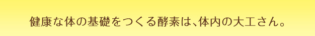 大和酵素の本草1200mL