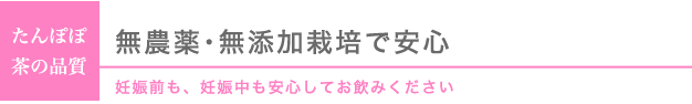 たんぽぽ茶の品質