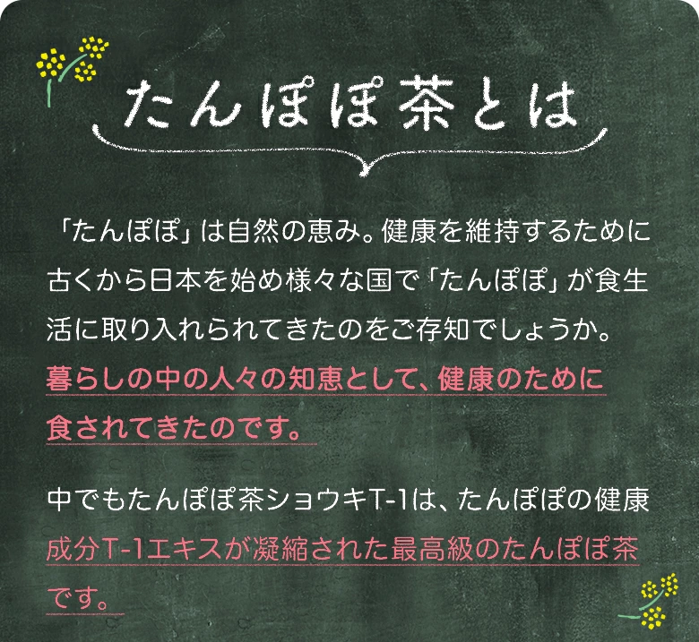 たんぽぽ茶