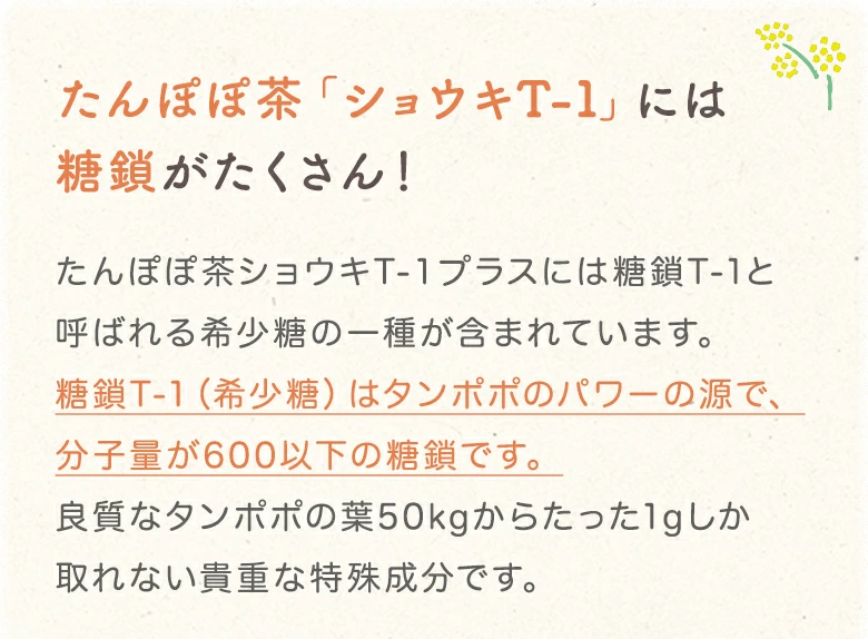 糖鎖がたくさん