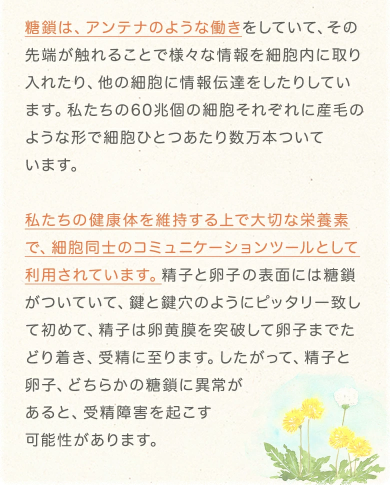ショウキ説明