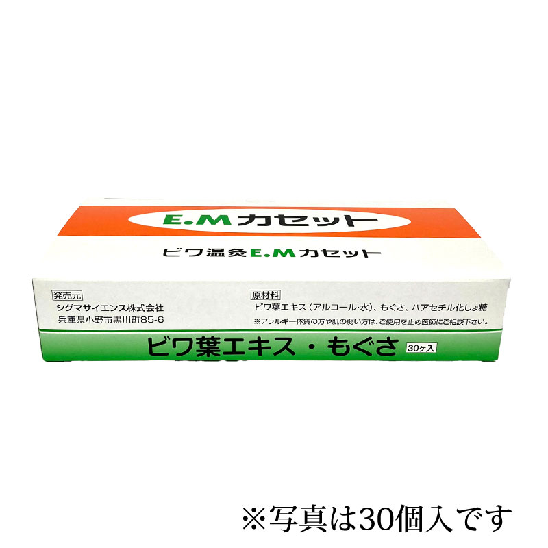 EMカセット