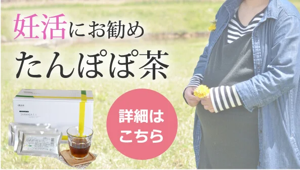 たんぽぽ茶