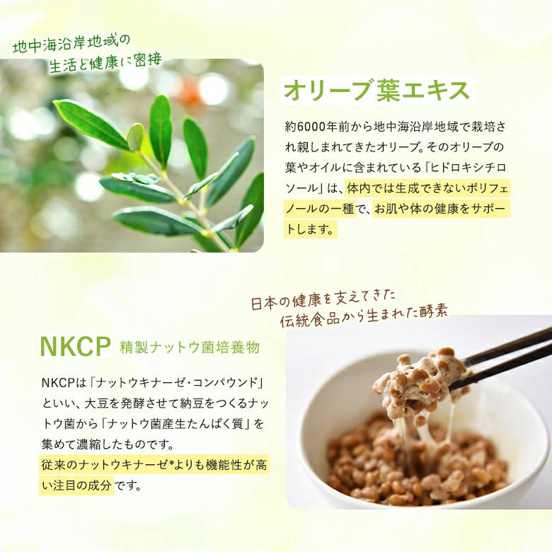 精製ナットウ菌培養物